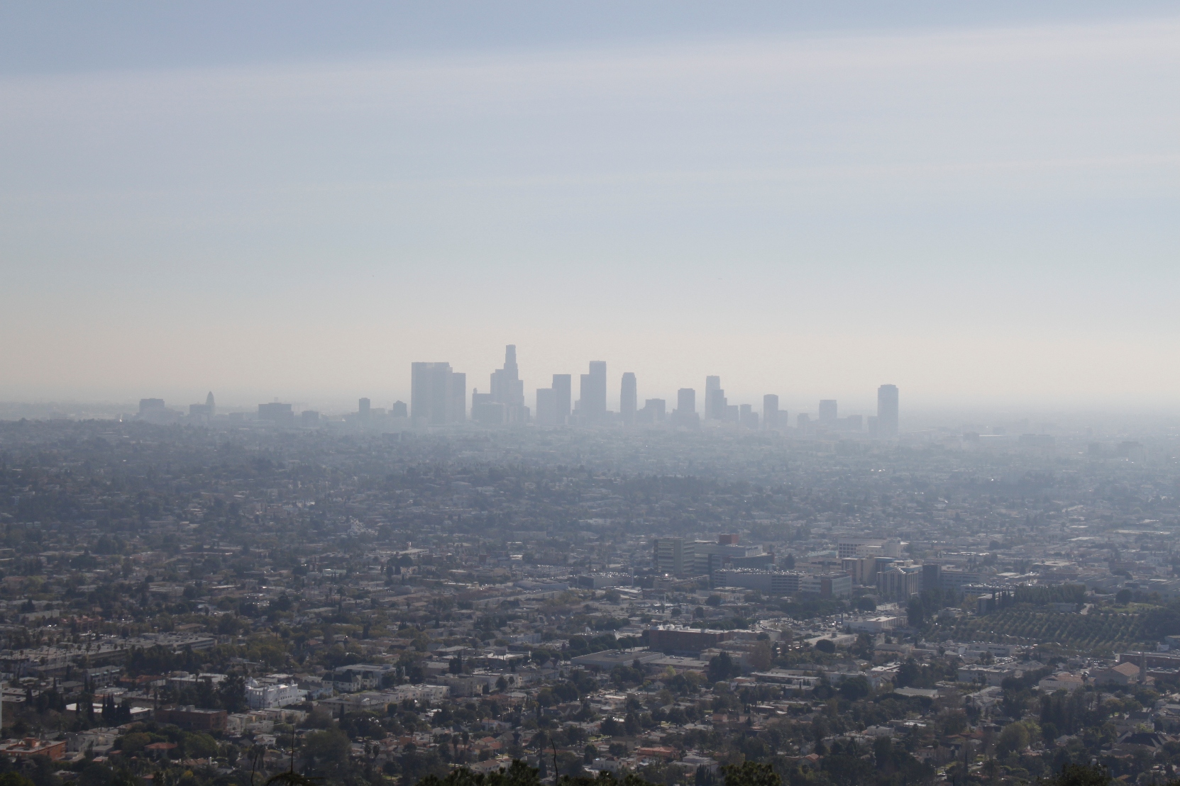 Griffith Park Observatory View Jan 2012 1 Maven S Photoblog   Griffith Park Observatory View Jan 2012 1 