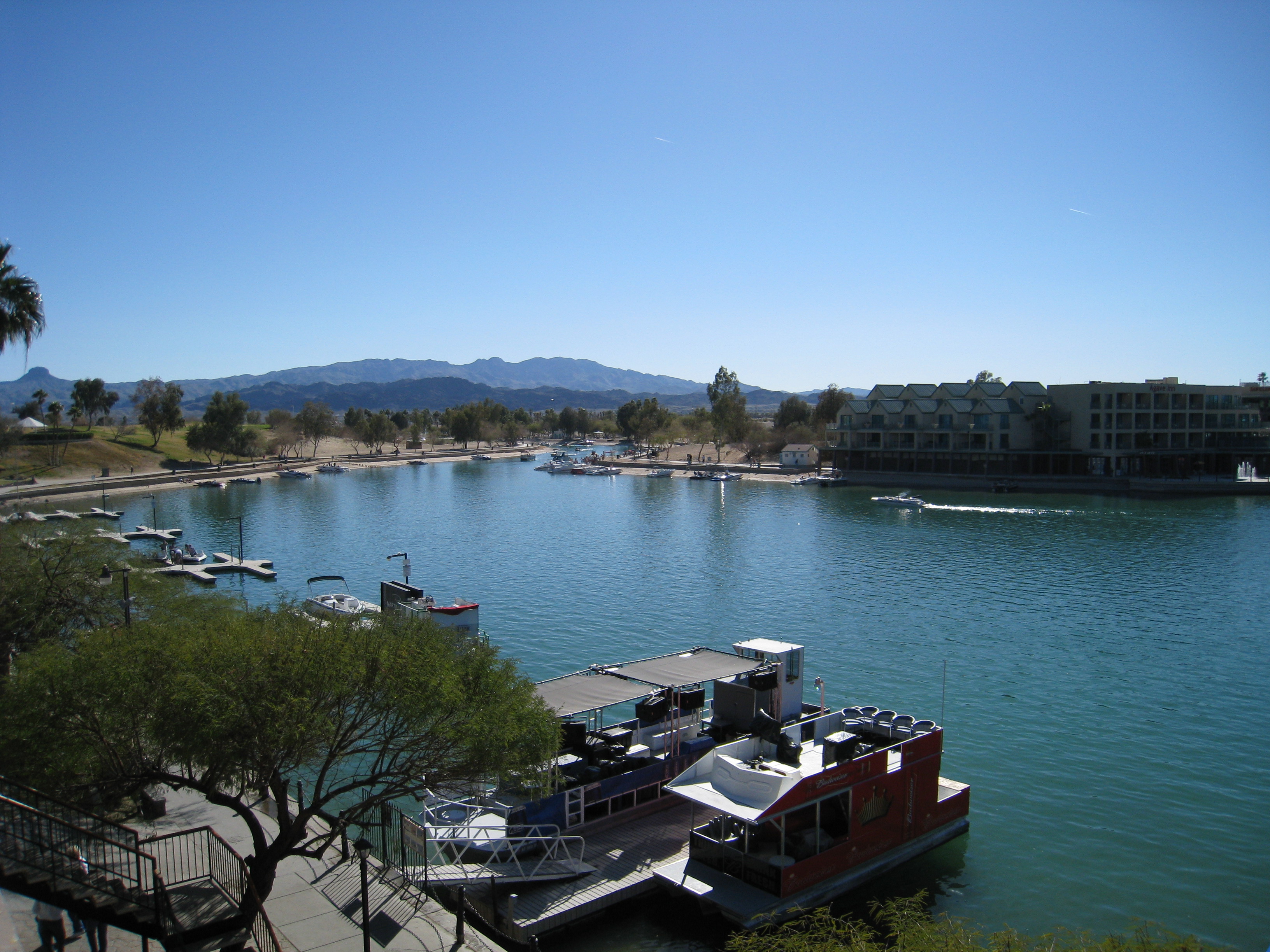 Kokomo Havasu