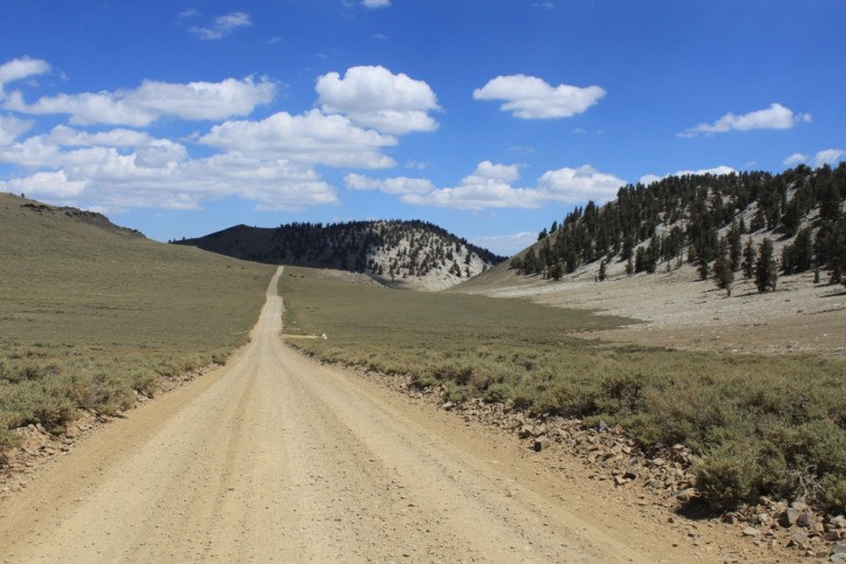 Bristlecone Pine Forest Aug 2012 #5