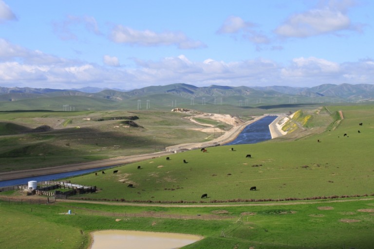 Central Valley green hills Feb 2013 #1