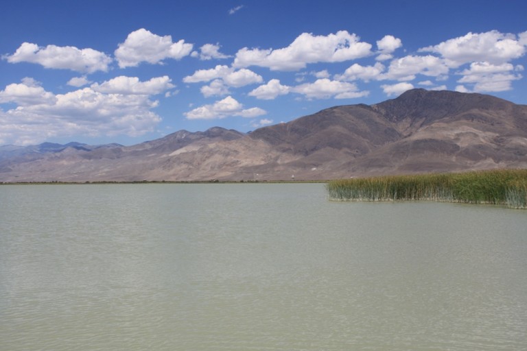 Klondike Lake wetlands Aug 2012 #14