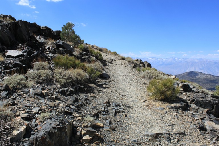 On the way to Bristlecone Pineforest Aug 2012 #12