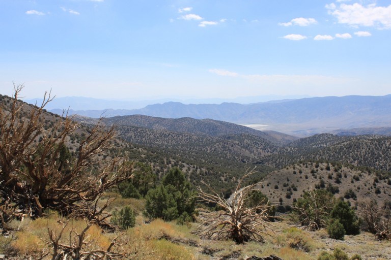 On the way to Bristlecone Pineforest Aug 2012 #16