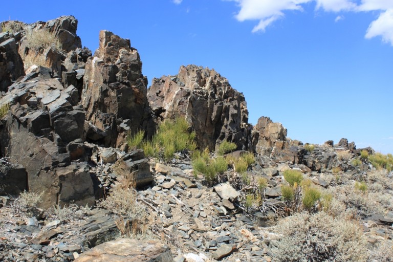 On the way to Bristlecone Pineforest Aug 2012 #22