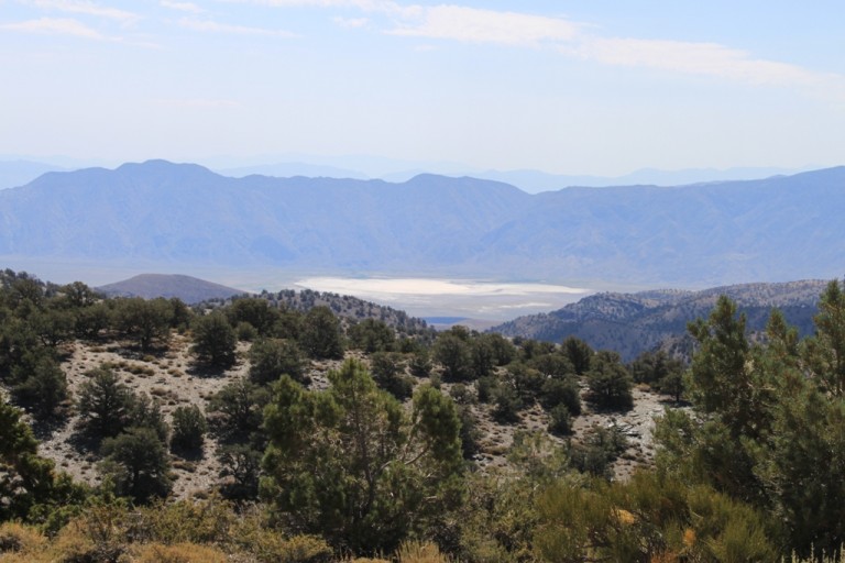 On the way to Bristlecone Pineforest Aug 2012 #4