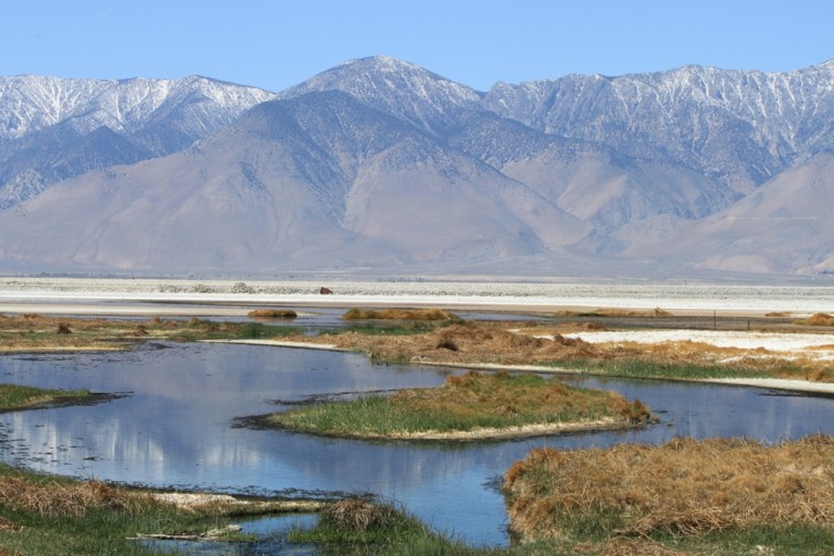 Owens Lake at Sulfate Well Apr 2012 #3