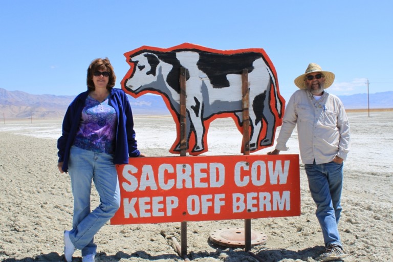 Owens Lake sacred cow Apr 2012 #5 with Michael Prather