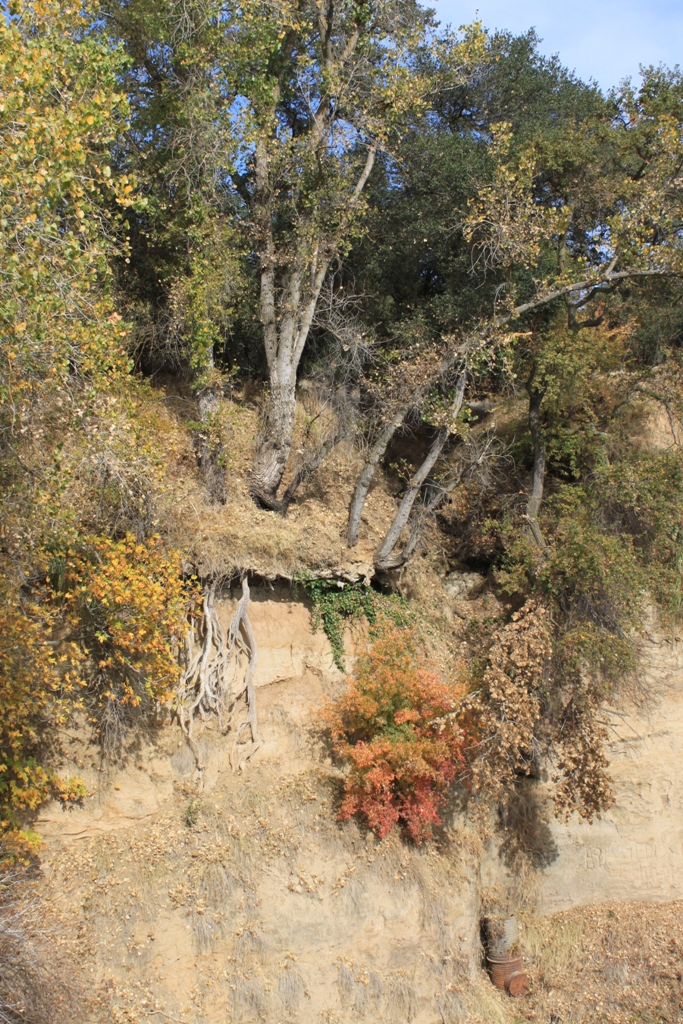 American River Nov 2013 #16