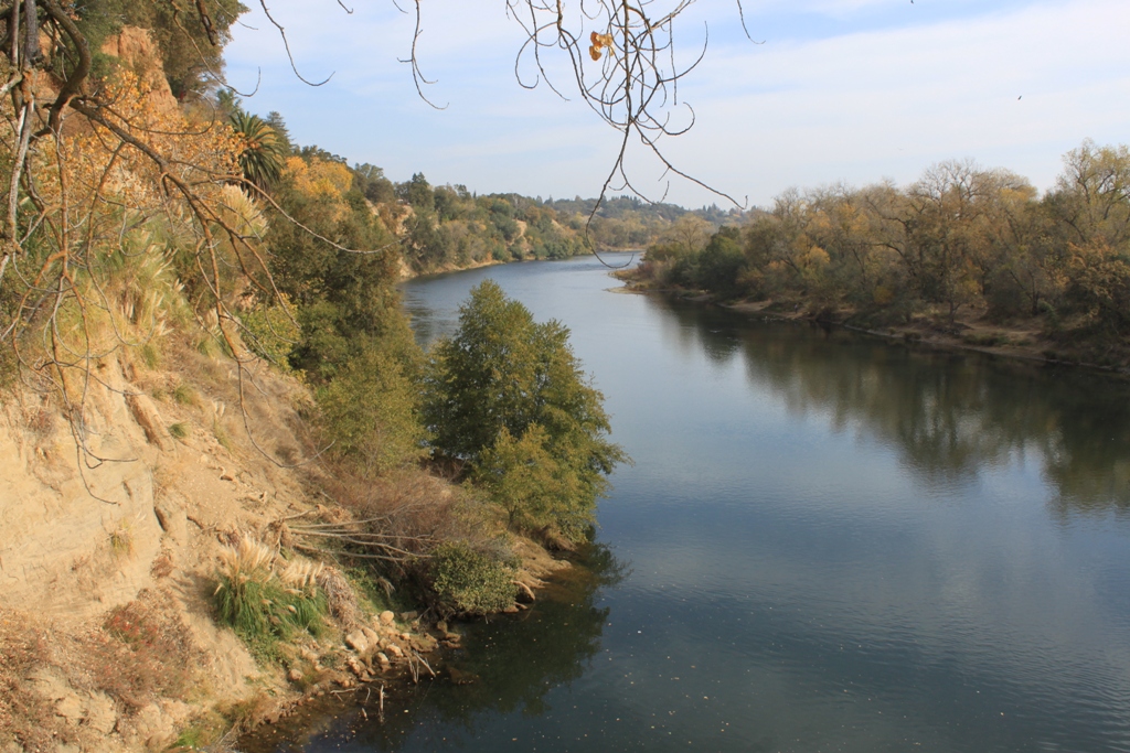 American River Nov 2013 #18